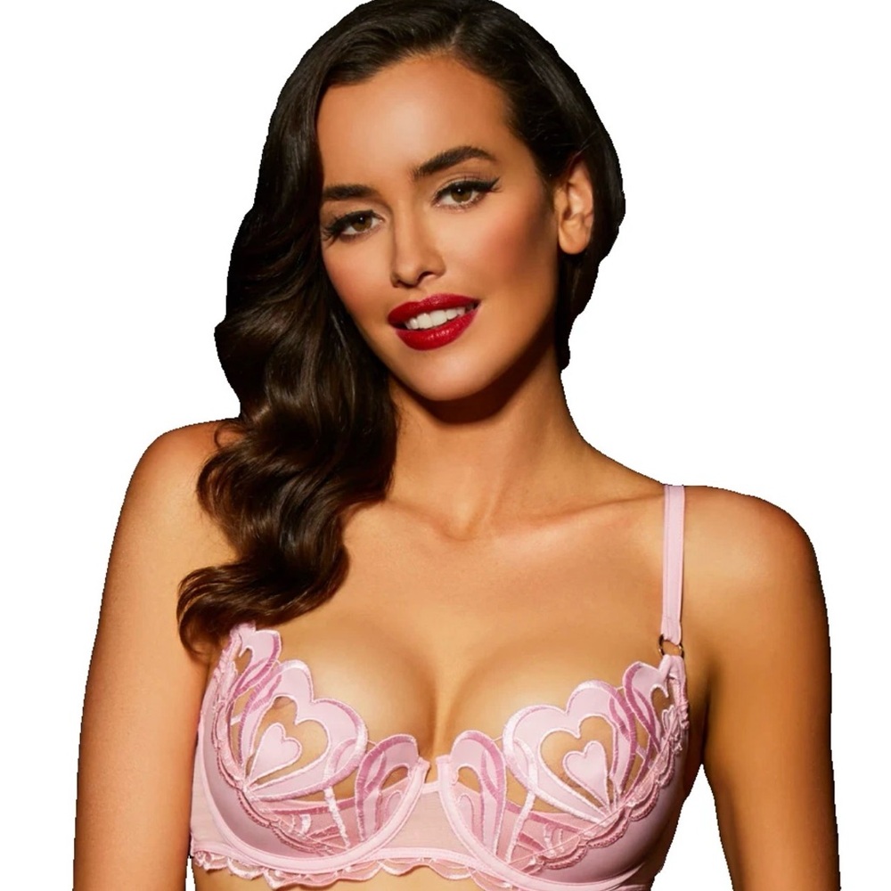 NWOT Honey Birdette Pink Hearts Bra 34B Vegan Leather Pink Elegant Lace Bra